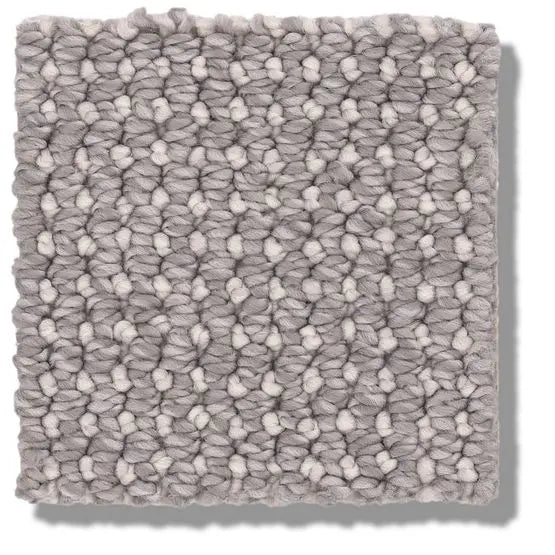 Pet Perfect - Purrfection - Carpet Anderson Tuftex