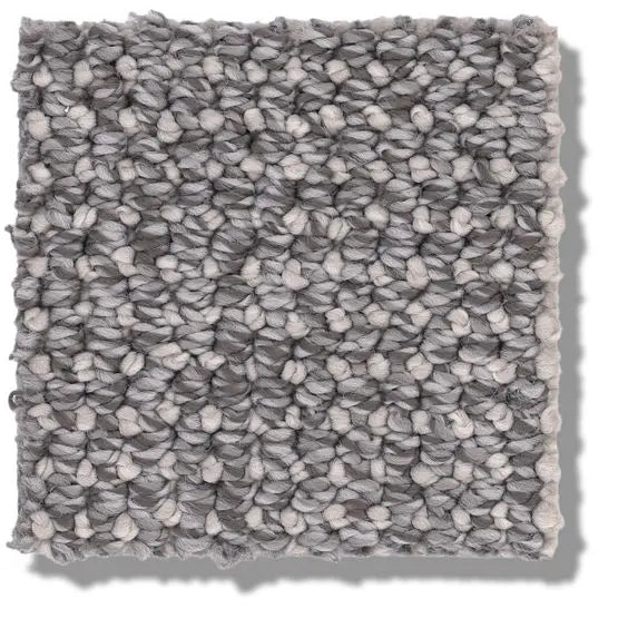 Pet Perfect - Purrfection - Carpet Anderson Tuftex