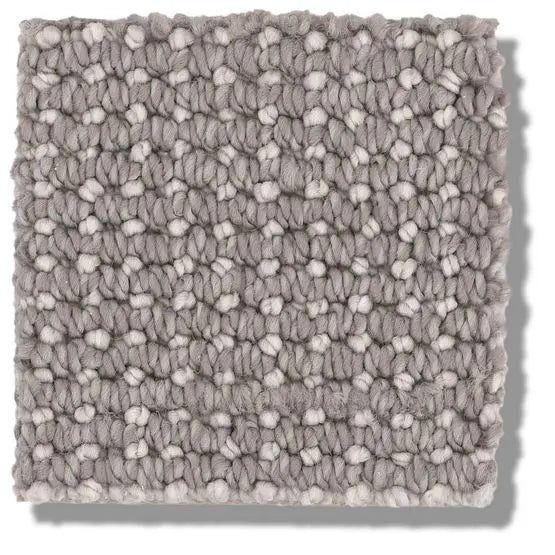 Pet Perfect - Purrfection - Carpet Anderson Tuftex