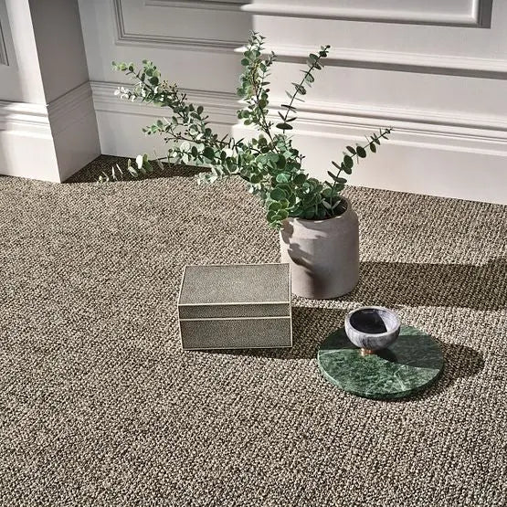 Pet Perfect - Purrfection - Carpet Anderson Tuftex