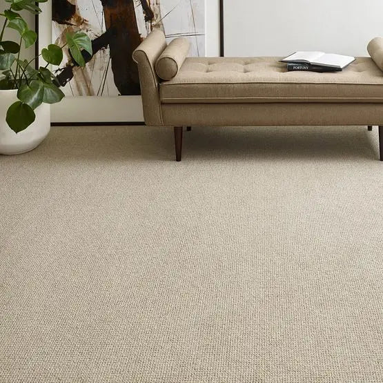 Pet Perfect - Purrfection - Carpet Anderson Tuftex