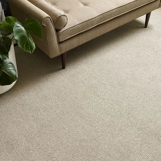 Pet Perfect - Purrfection - Carpet Anderson Tuftex