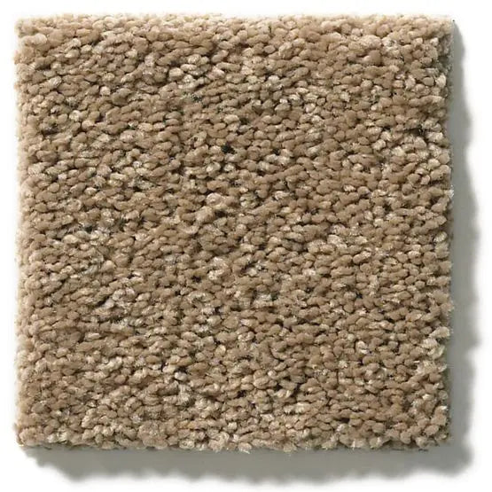 Classics - Explorer - Carpet Anderson Tuftex