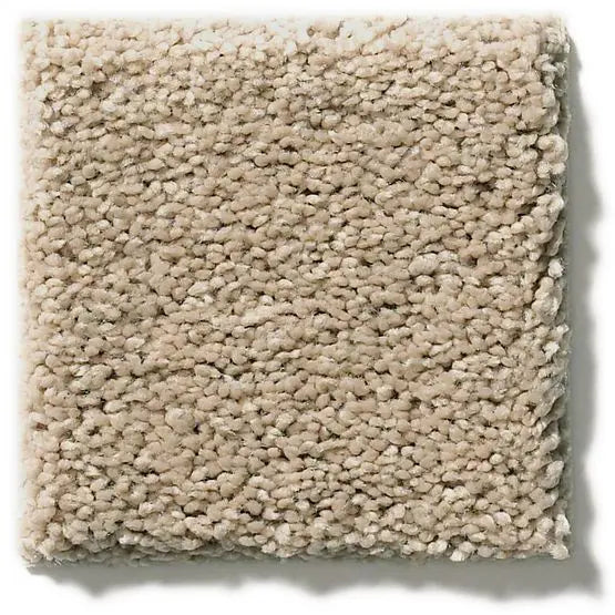 Classics - Explorer - Carpet Anderson Tuftex