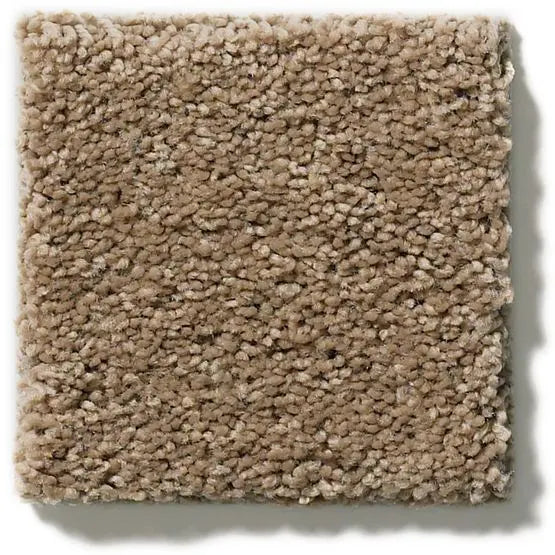 Classics - Explorer - Carpet Anderson Tuftex