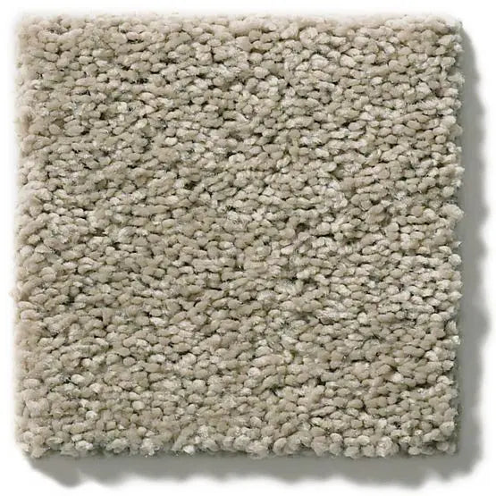 Classics - Explorer - Carpet Anderson Tuftex