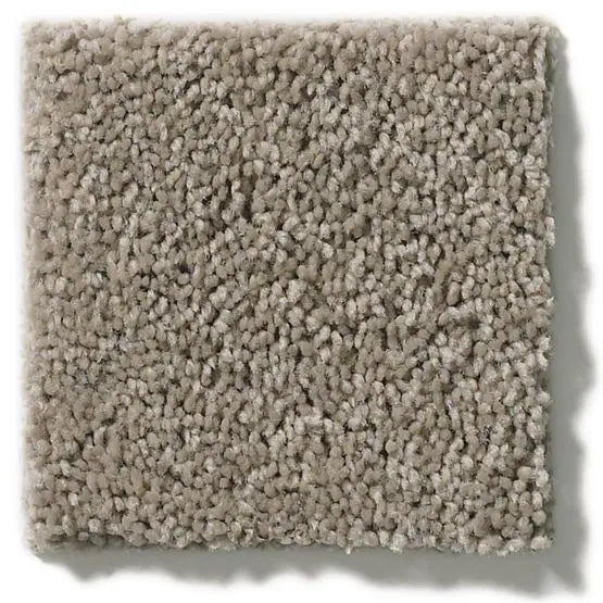 Classics - Explorer - Carpet Anderson Tuftex