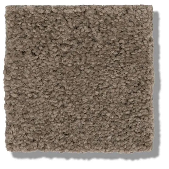 Classics - Explorer - Carpet Anderson Tuftex