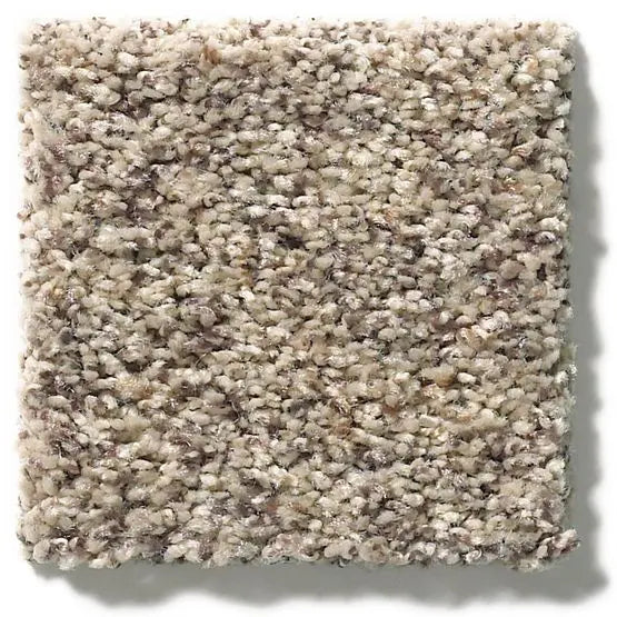 Classics - Explorer - Carpet Anderson Tuftex