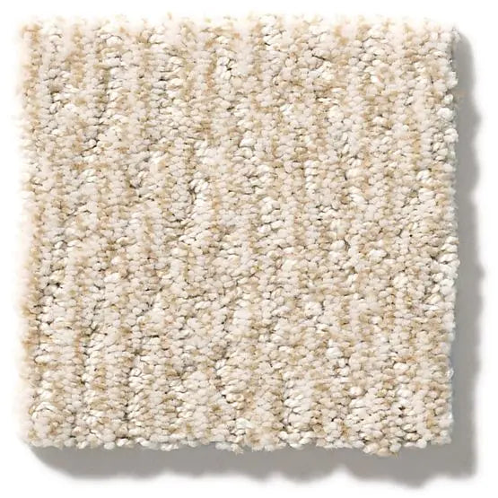 Pet Perfect - Fur-Ever - Carpet Anderson Tuftex