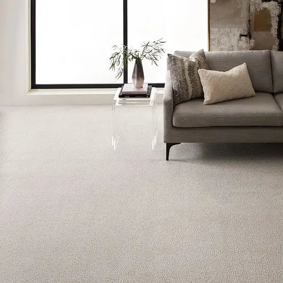 Pet Perfect - Fur-Ever - Carpet Anderson Tuftex