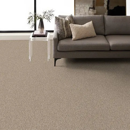 Pet Perfect - Fur-Ever - Carpet Anderson Tuftex