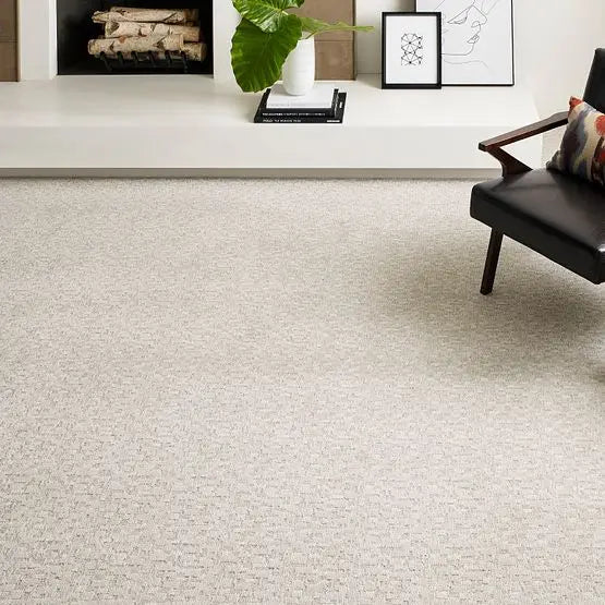 Pet Perfect - Paw-Tay - Carpet Anderson Tuftex