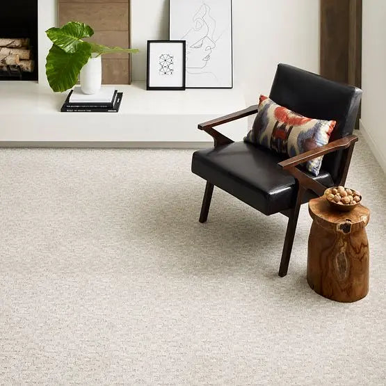 Pet Perfect - Paw-Tay - Carpet Anderson Tuftex