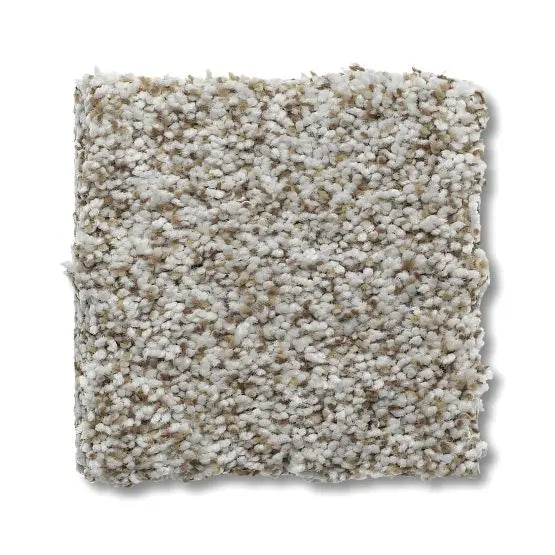 Marker - Park Hill - Carpet Anderson Tuftex