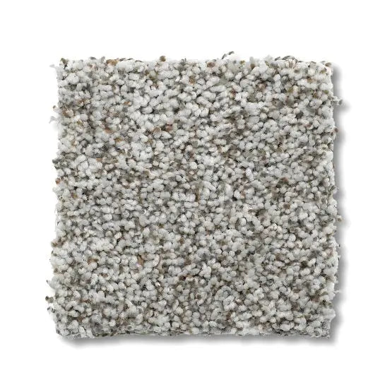 Marker - Park Hill - Carpet Anderson Tuftex