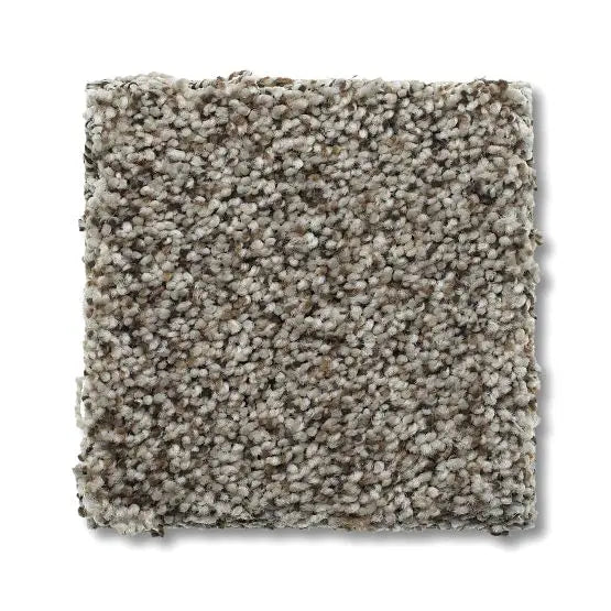 Marker - Park Hill - Carpet Anderson Tuftex