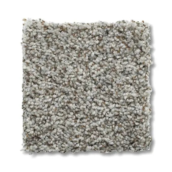 Marker - Park Hill - Carpet Anderson Tuftex