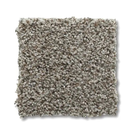 Marker - Park Hill - Carpet Anderson Tuftex