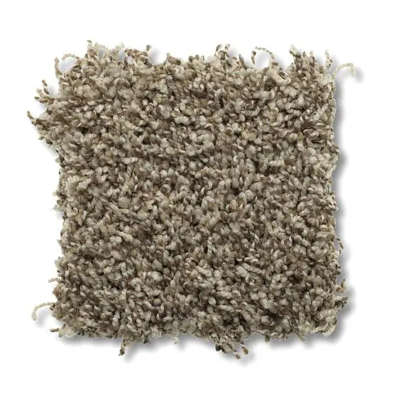 Marker - Travertino Too - Carpet Anderson Tuftex