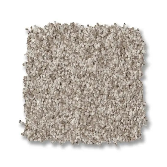 Classics - Terra Nova - Carpet Anderson Tuftex