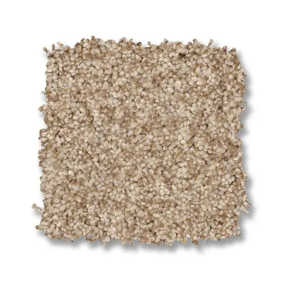 Classics - Terra Nova - Carpet Anderson Tuftex