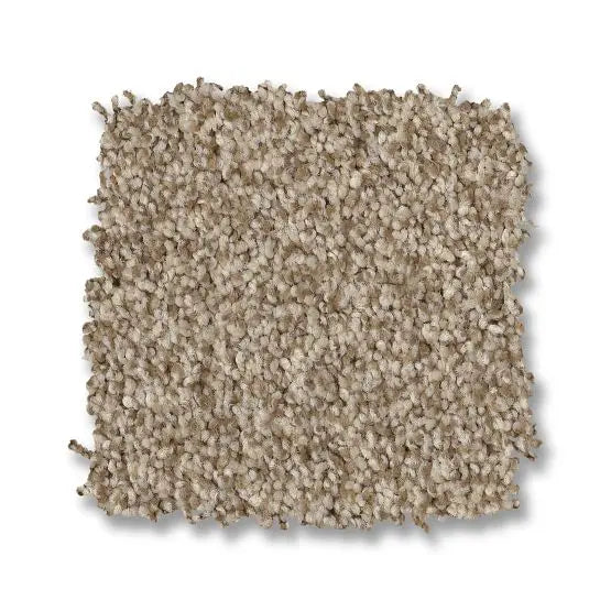 Classics - Terra Nova - Carpet Anderson Tuftex