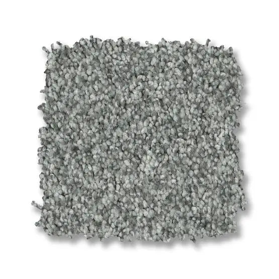 Classics - Terra Nova - Carpet Anderson Tuftex