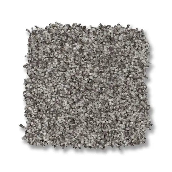 Classics - Terra Nova - Carpet Anderson Tuftex