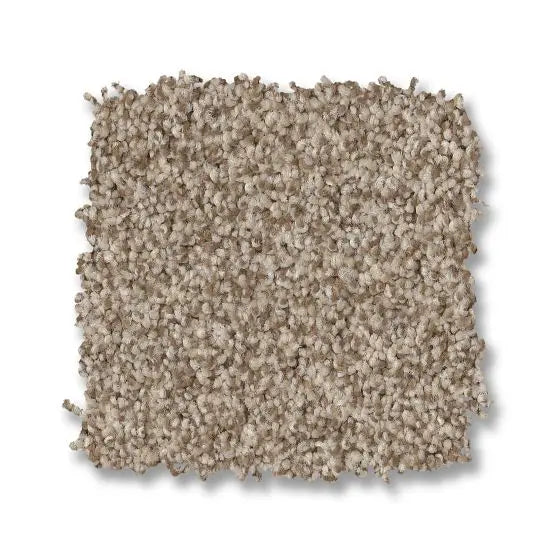 Classics - Terra Nova - Carpet Anderson Tuftex