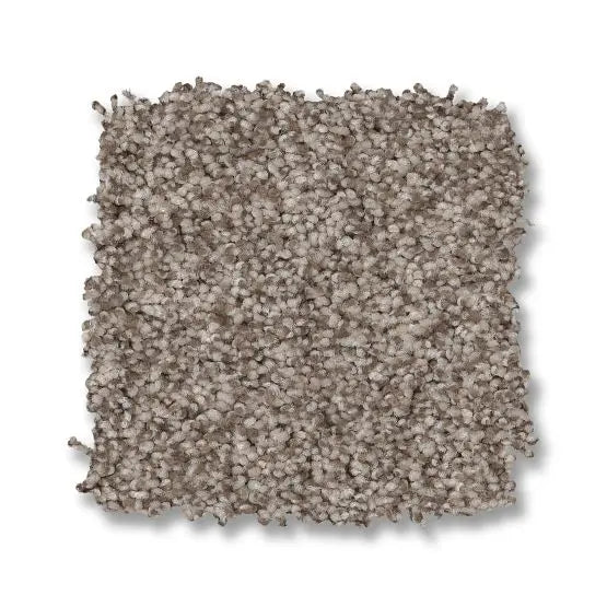 Classics - Terra Nova - Carpet Anderson Tuftex