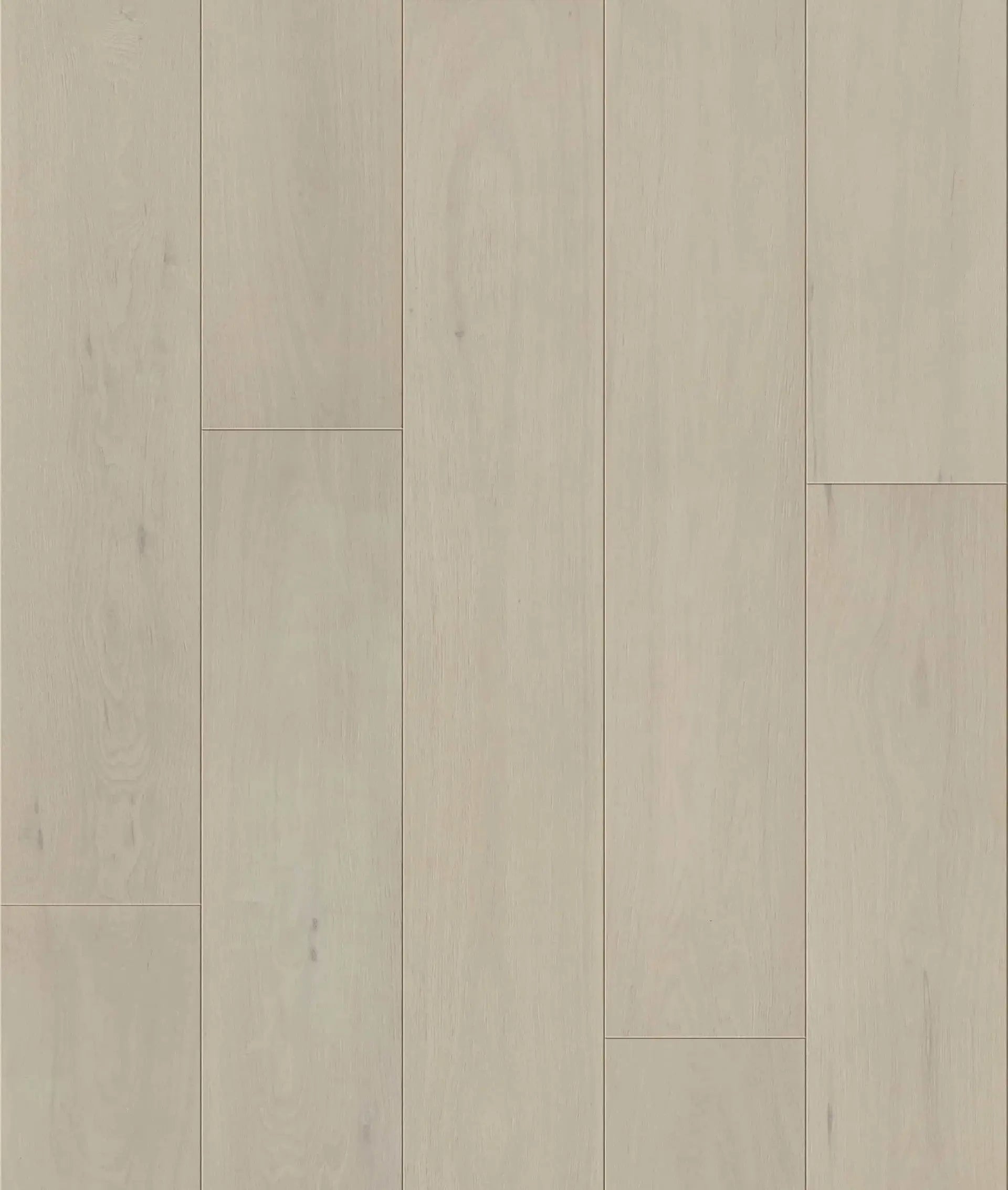 Constellation - Cannes-IFO8 - Engineered Hardwood Compass Materials