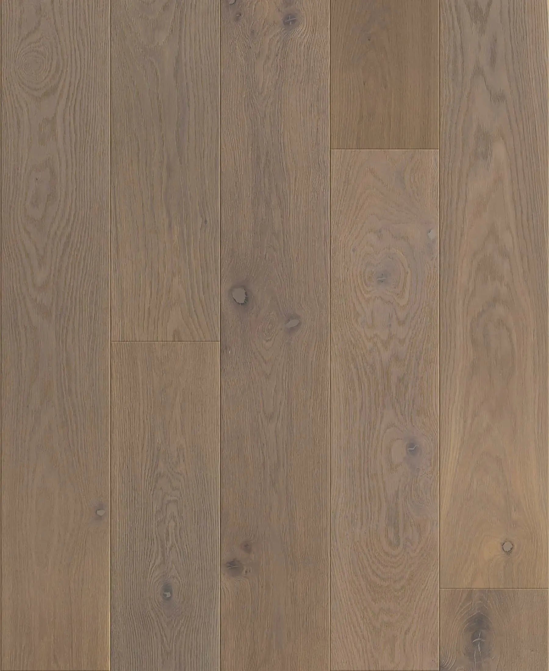 Craftsman  - Oceanside-CCO7 - Engineered Hardwood Compass Materials