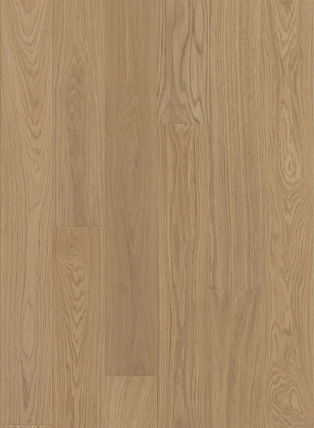 Gold Coast  -Pacifica-GCCO8 - Engineered Hardwood Compass Materials