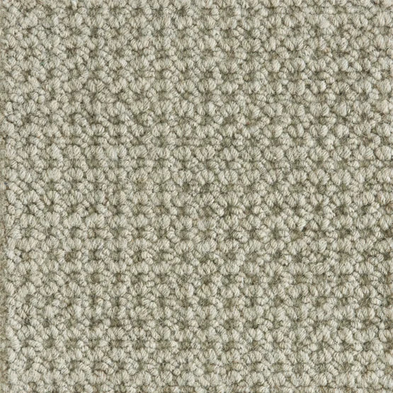 Hibernia - Colony - Carpet