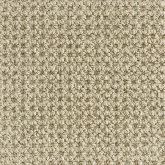 Hibernia - Colony - Carpet