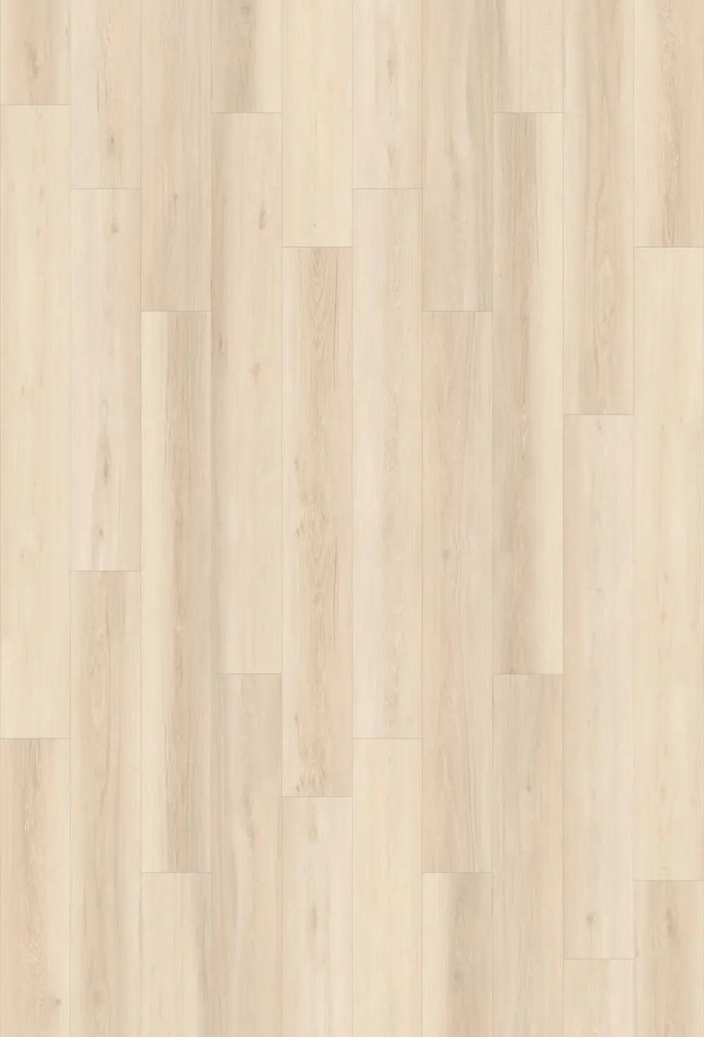 Craze - Laminate