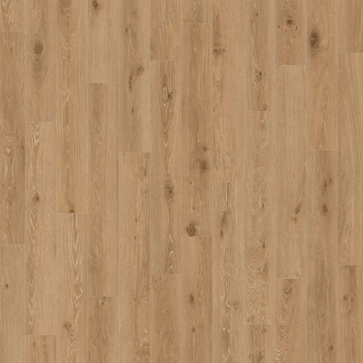 The Engineered Floors Divine - Carmine - Engineered Hardwood The Engineered Floors