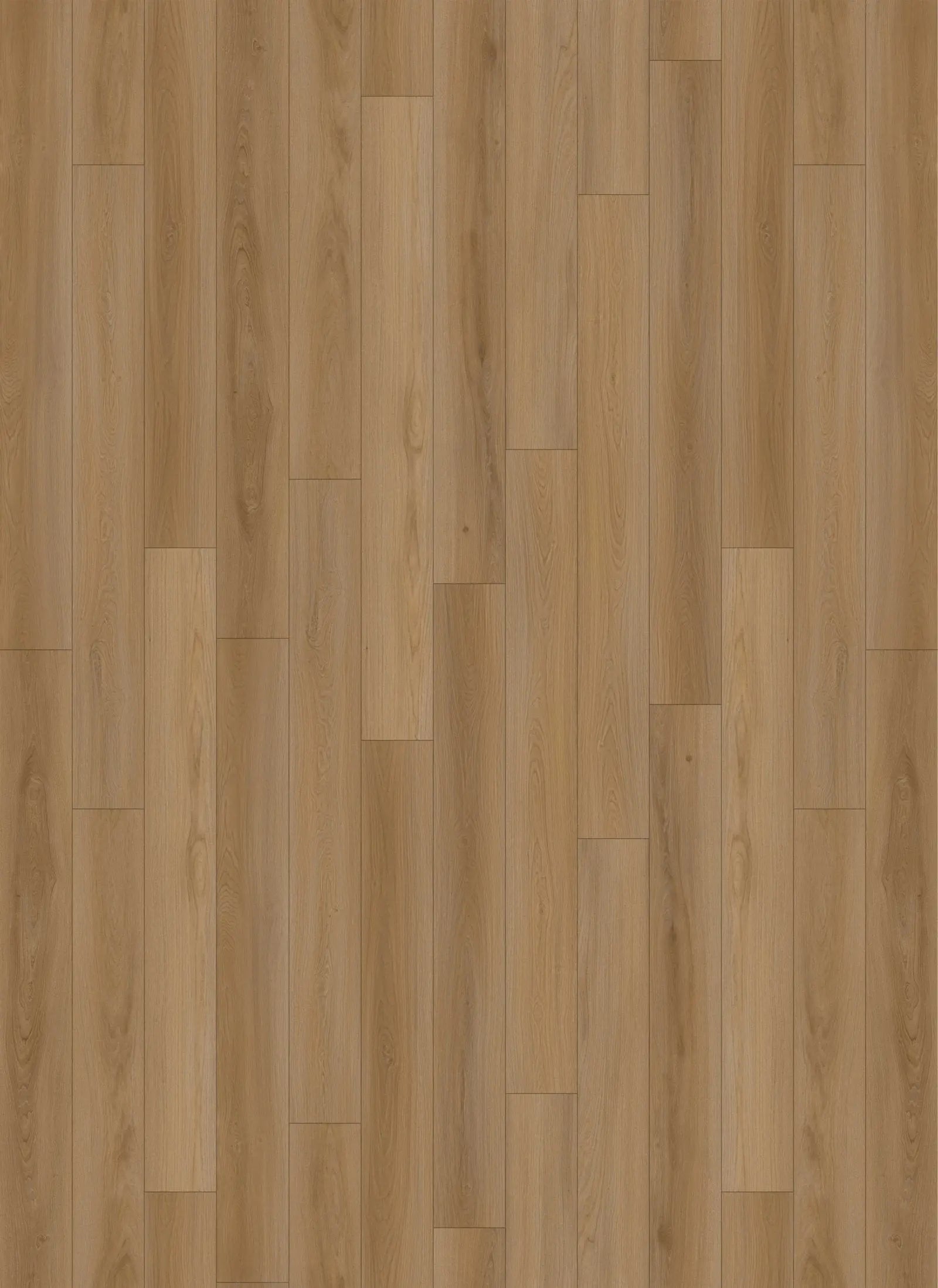 Dazzle - Laminate