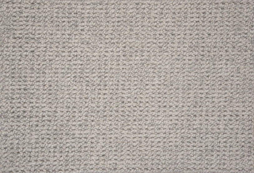 Hibernia - Freehold - Carpet