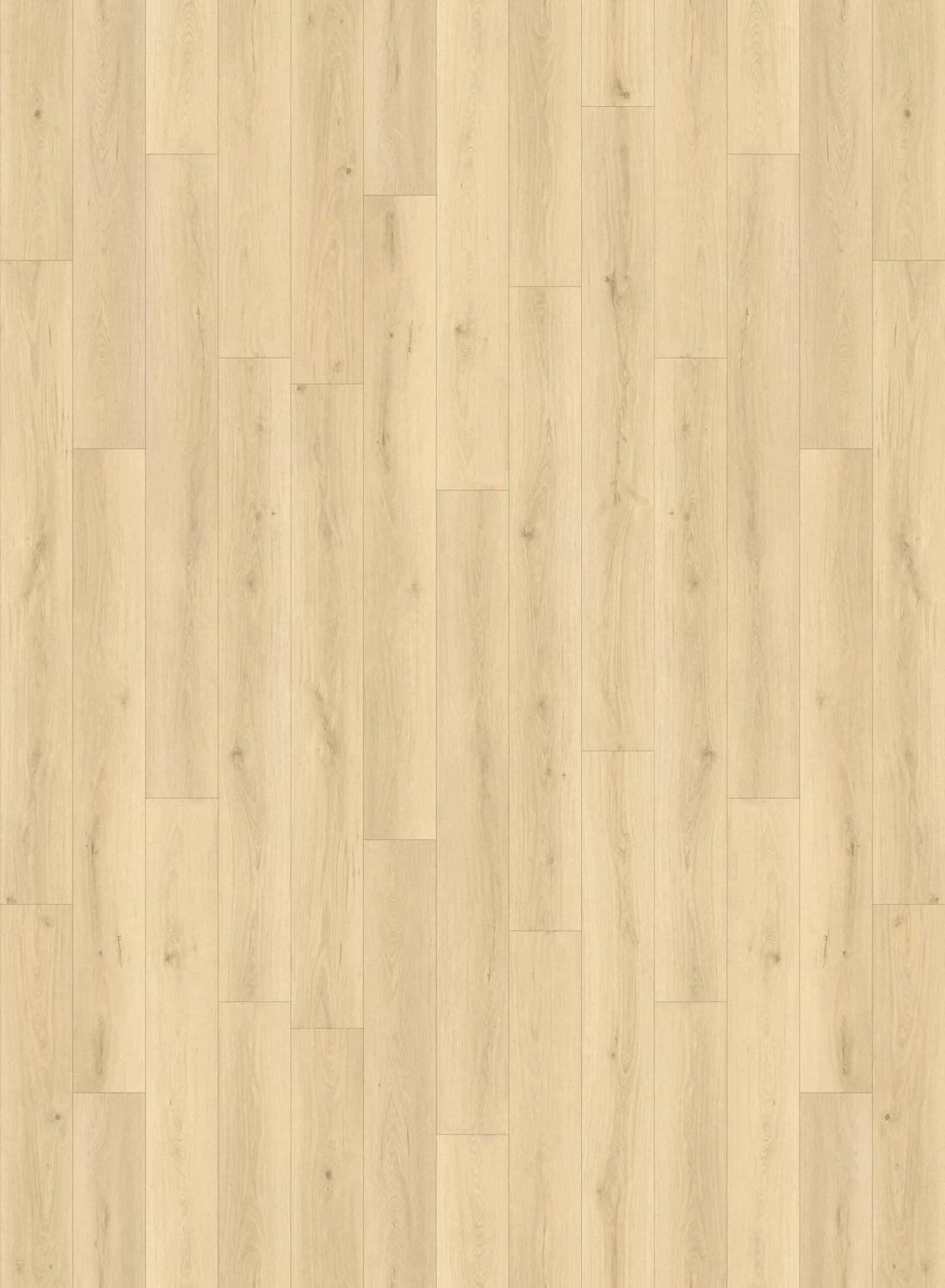 Lush - Laminate