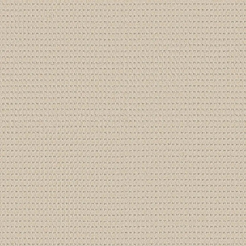 Anderson Tuftex Rhode-Sunkissed-Carpet