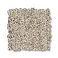 Anderson Tuftex In Tempo -Almond- Carpet