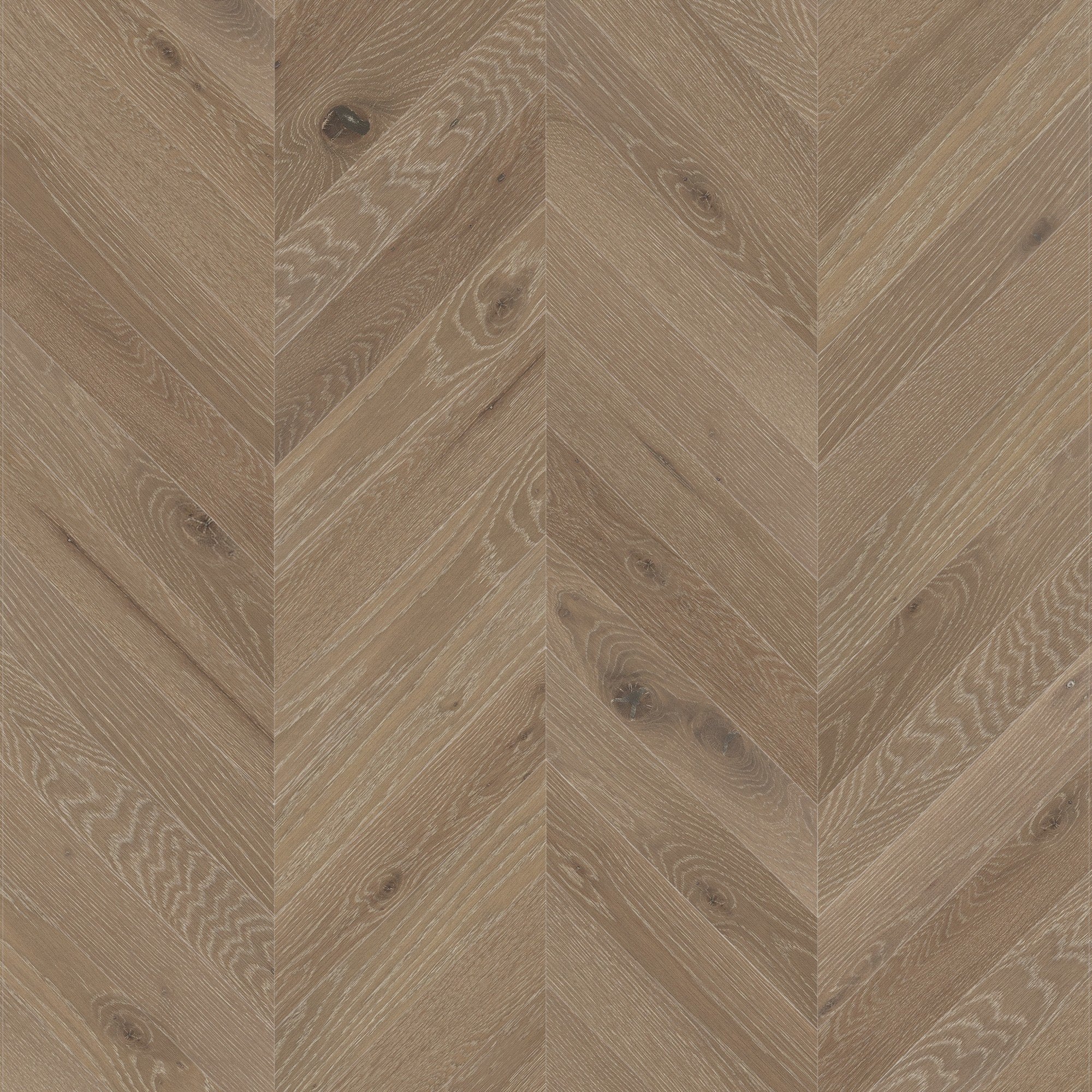 Chevron - White Oak Sand Castle - Engineered Hardwood