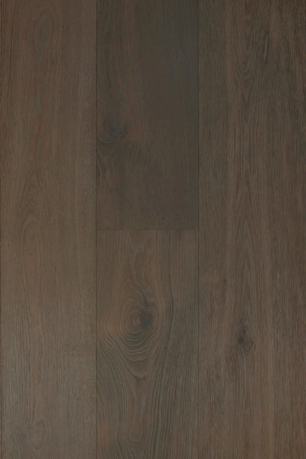 Victoria - Pesaro Oak - Engineered Hardwood