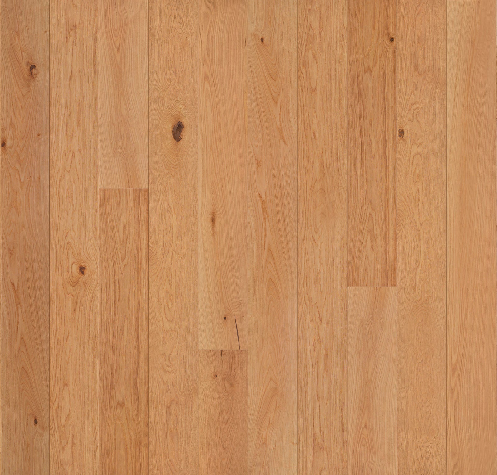 Allora 9-1/2" - Strada - Engineered Hardwood