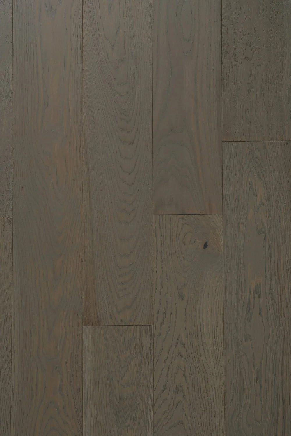 Abruzzo European Oak - Torre - Engineered Hardwood