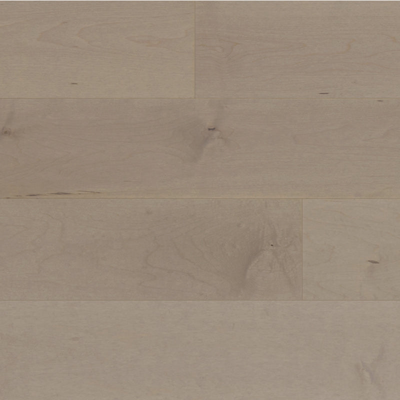 Canadian Hard Maple - Dufferin - Engineered Hardwood