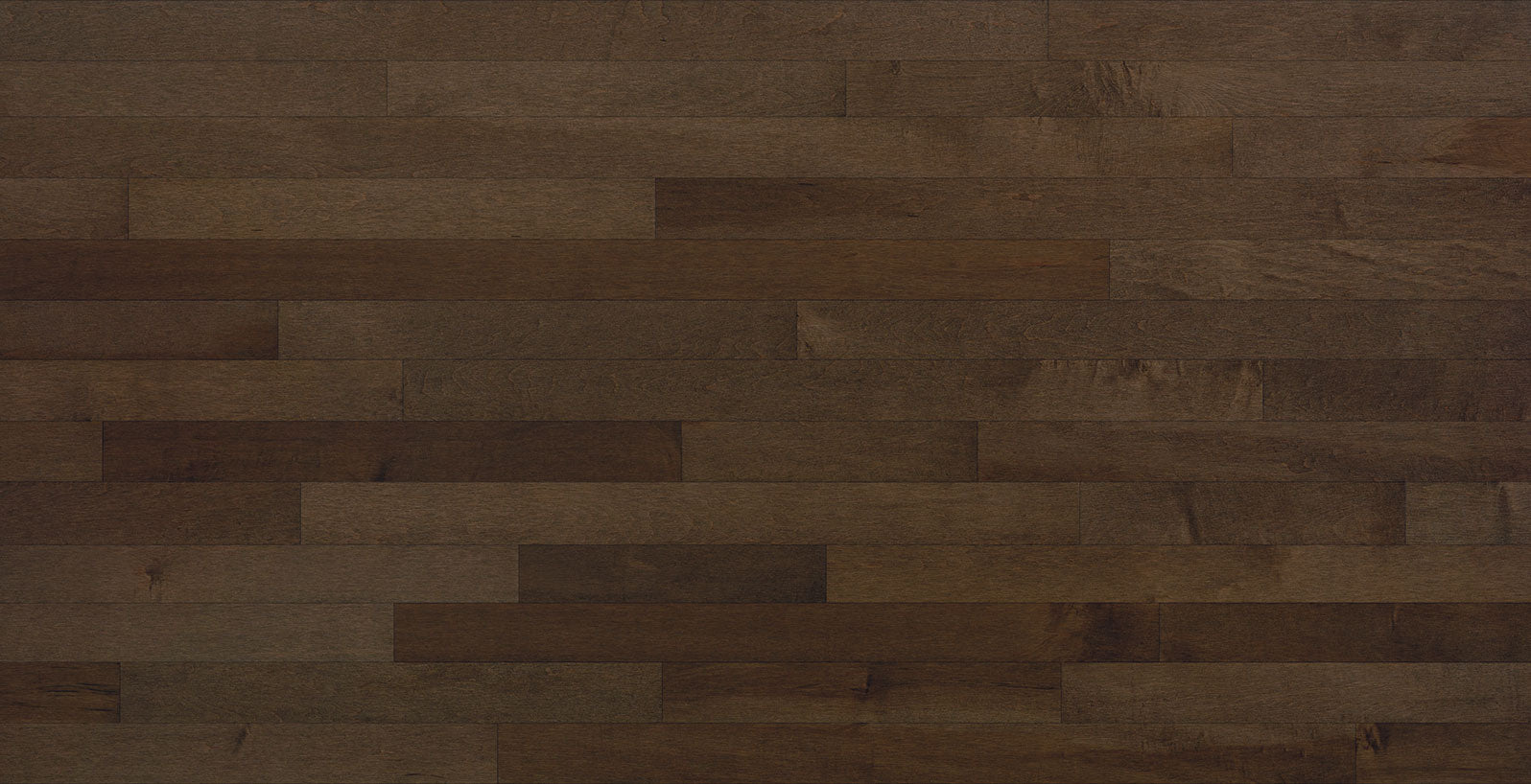 Expert - Terroso Maple - Solid Hardwood