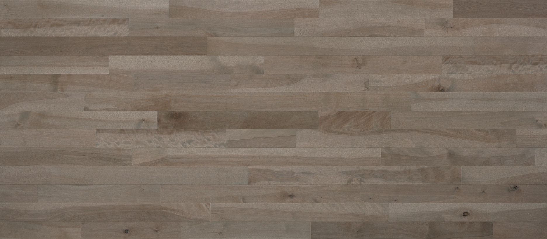 Expert - Caliza Yellow Birch - Solid Hardwood
